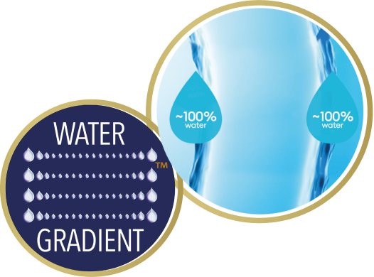 עדשות המגע של alcon